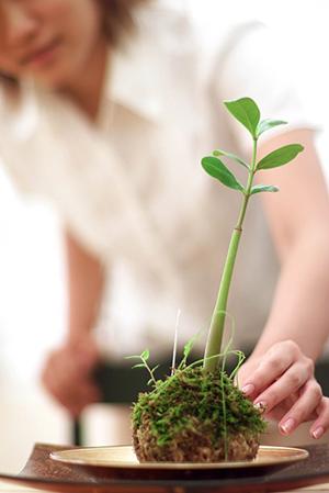 日本一つぶれないリアル人工芝を売っているところ