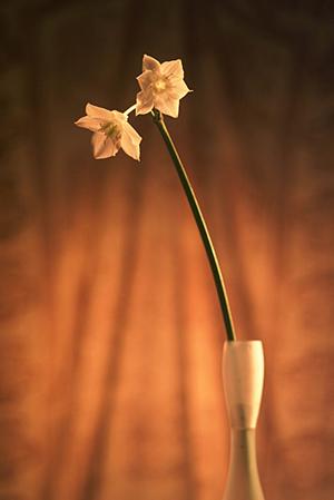 展示ブースへの集客を増やしたい方見て下さい