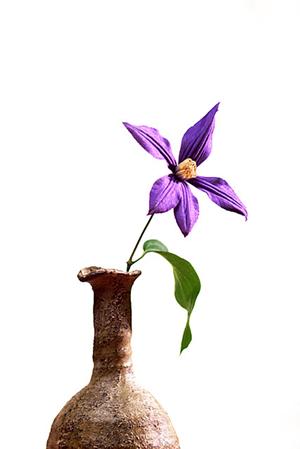 【2025年最新版】東京で叶える理想のオーダー家具：選び方とおすすめショップ完全ガイド