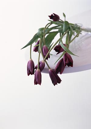 名古屋駅前のタカラスタンダードショールーム：高品質なキッチン・バスルームを体験できる安心の展示施設