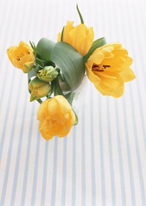 家具の通販なら弁天インテリアがおすすめ