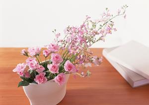 魅力溢れるロマンたっぷりの一枚板