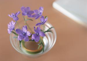 2つの固さを使い分けできるマットレス