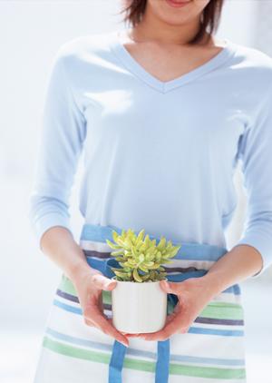 一枚板のテーブルを取り扱うお店